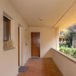 Lägenhet Rosa Di Sera By Interhome