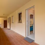 Rosa Di Sera By Interhome